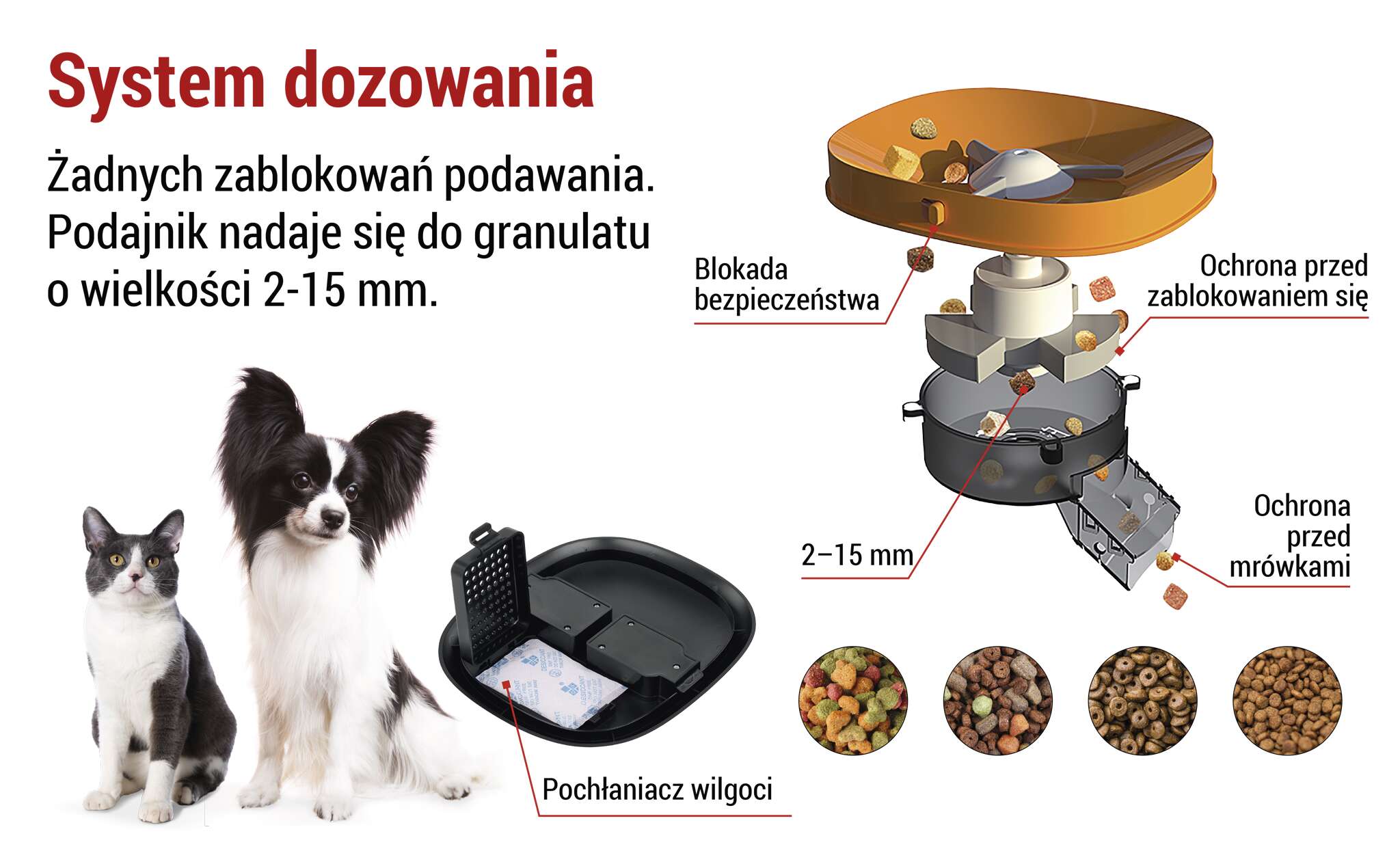 Rozmowa ze zwierzęciem i komunikat przy karmieniu